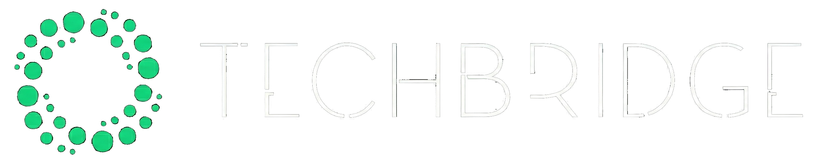 Techbridge